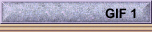 GIF 1